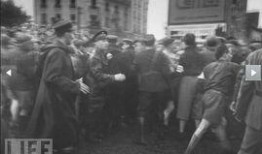 刑场在线观看,揭秘网络直播下的刑侦风云